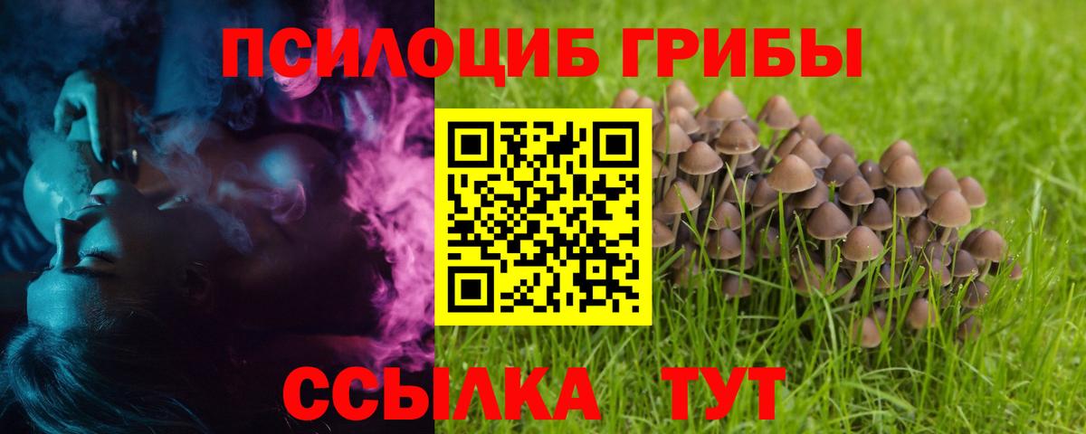 Россошь  Галлюциногенные грибы GOLDEN TEACHER  Вход с VPN  Псилоцибиновые грибы Magic Shrooms 