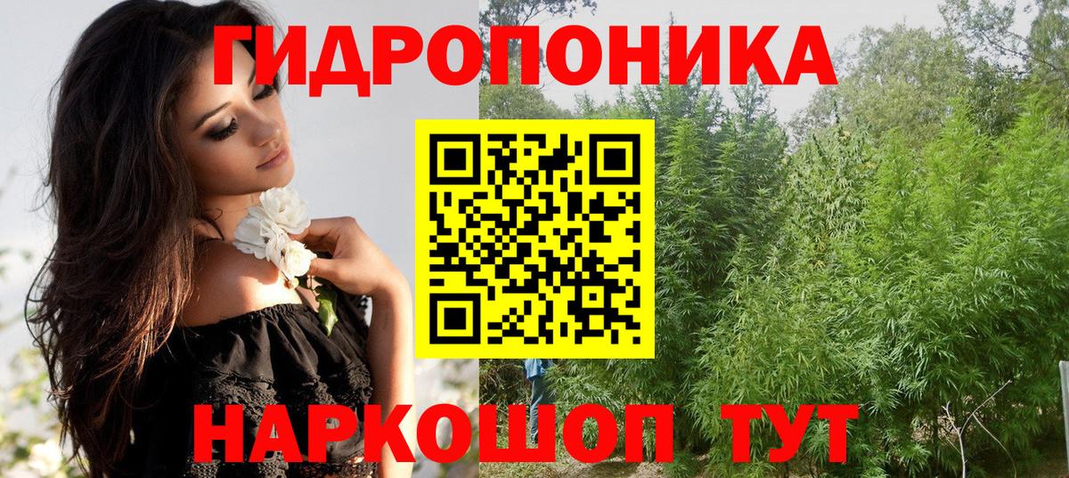 Конопля ГИДРОПОН  Бошки Шишки Bruce Banner  Бошки Шишки VHQ  Вход с VPN  Россошь  Марихуана AK-47 
