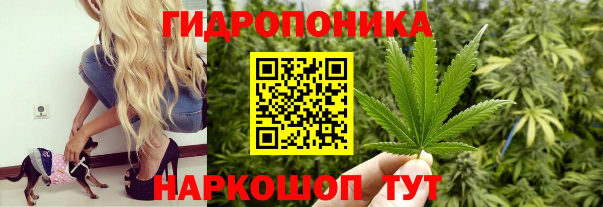 Бошки Шишки семена Россошь